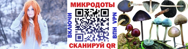 Псилоцибиновые грибы Psilocybe купить наркотик Ува